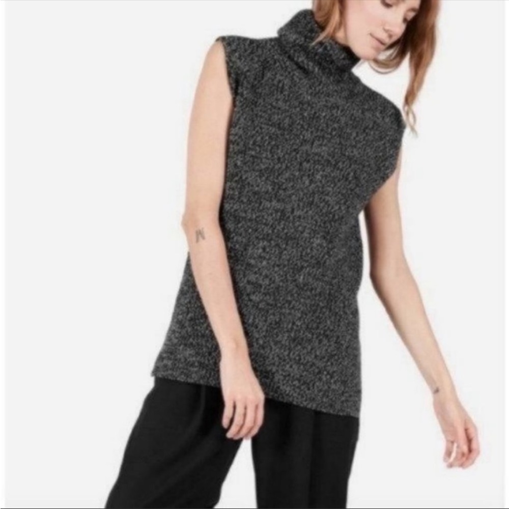 Everlane - The Chunky Wool Sleeveless Turtleneck Sweater